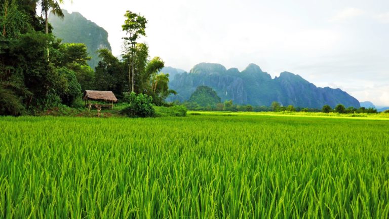 Laos : La révolution des fast-food est en marche