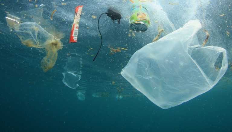 THAILANDE – SOCIETE: La mort d’une baleine rappelle l’urgence de la pollution des océans