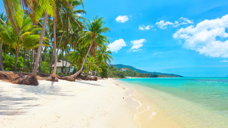 THAILANDE – SOCIÉTÉ: Koh Samui, l’île contaminée par la contrefaçon