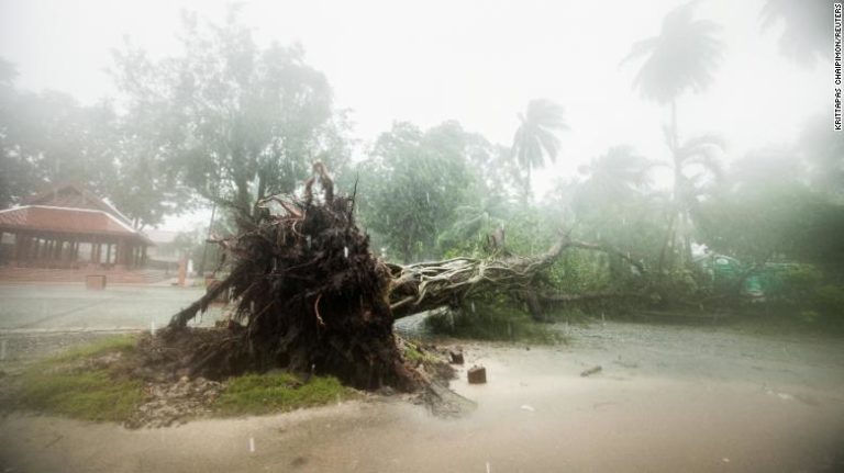 THAILANDE – TEMPÊTE PABUK: Comment les touristes affrontent le déluge à Koh Samui et Koh Phangan