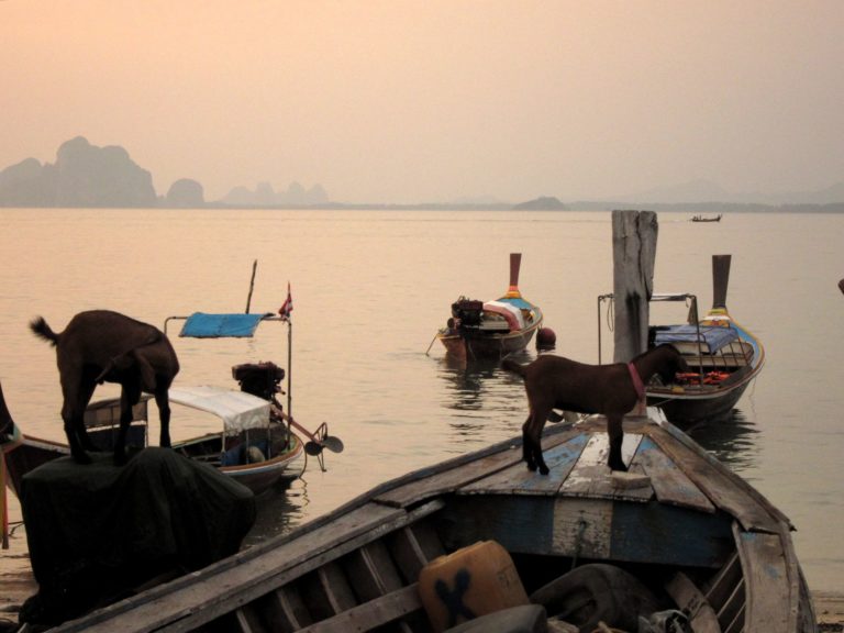 THAÏLANDE – TOURISME: Koh Kradan et Koh Muk, les deux joyaux des îles de Trang