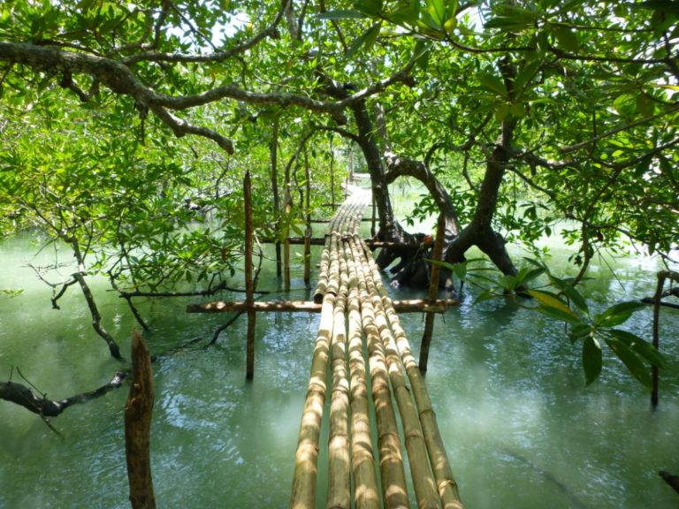 THAÏLANDE – TOURISME : Koh Yao Noi, le Sud en raccourci