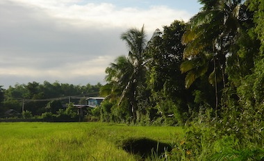 Thaïlande, L’Isan d’aujourd’hui