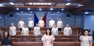 Représentant du sénat aux Philippines