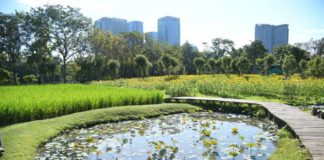 parc Bangkok