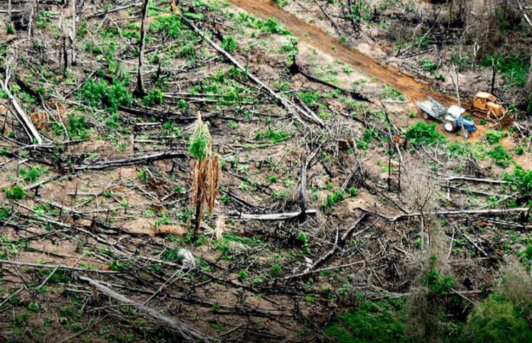 INDONÉSIE – EUROPE : Jakarta refuse toujours les mesures européenne contre la déforestation