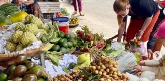 Marché Vietnam fruits