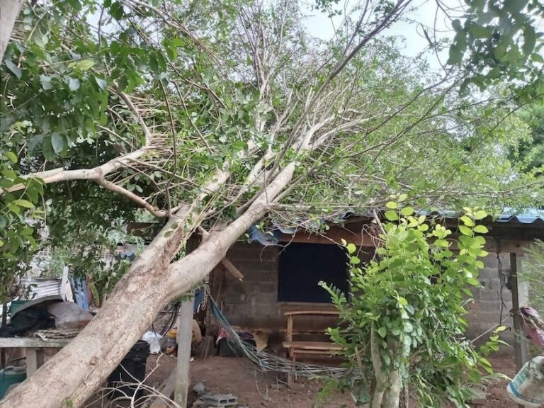 THAÏLANDE – CLIMAT : Vent, grêle et tempête sur Prachin Buri