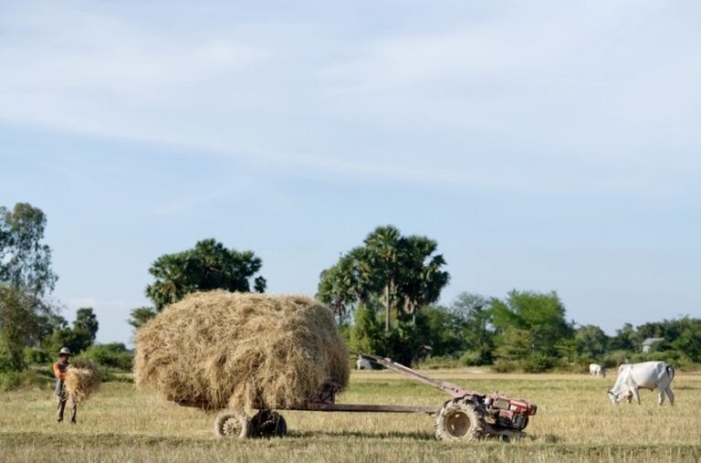 CAMBODGE – ÉCONOMIE : Un plan pour l’agriculture cambodgienne est urgent