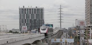 Bangkok Monorail rose