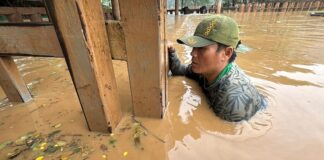 Sauveteur éléphants inondations