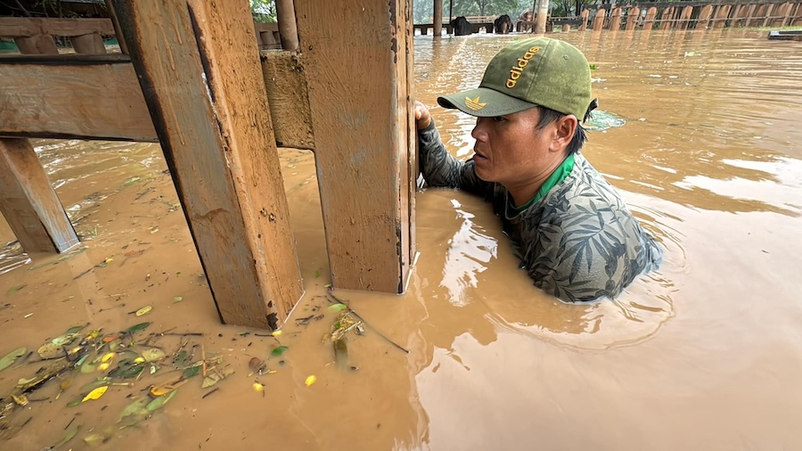 Sauveteur éléphants inondations