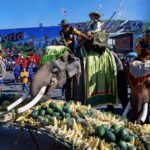 Festival des éléphants à Surin