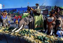 Festival des éléphants à Surin