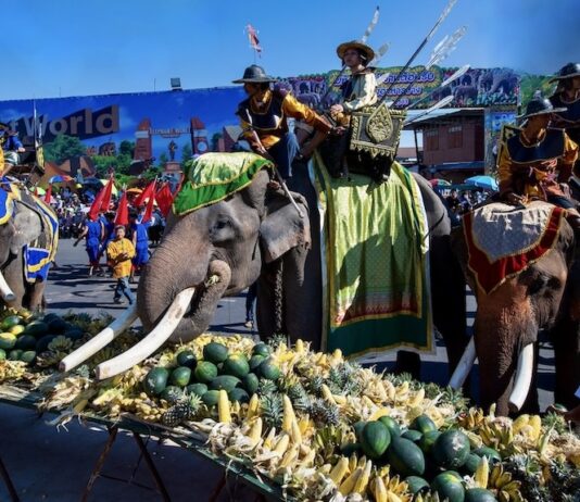 Festival des éléphants à Surin