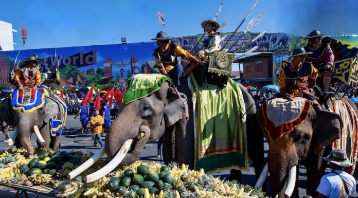 Festival des éléphants à Surin