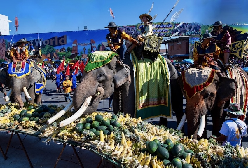 Festival des éléphants à Surin