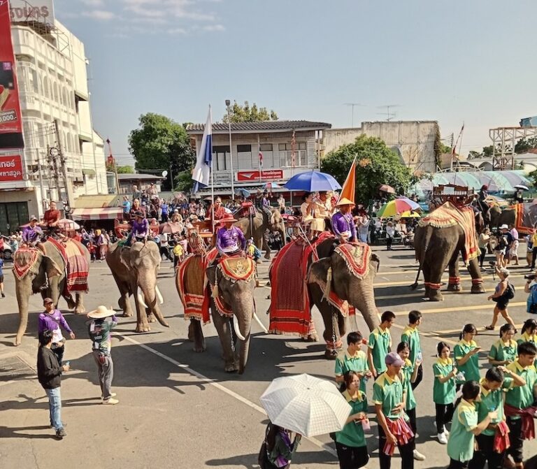 THAÏLANDE – CHRONIQUE : Surin, capitale XXL des éléphants