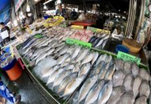 Marché poissons