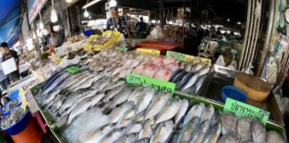 Marché poissons