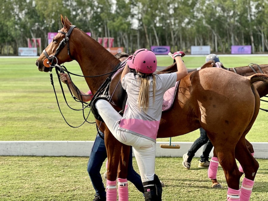 cavalière pink polo